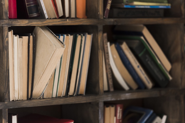 บทความพิเศษ (ตัวอย่างข้อมูล)